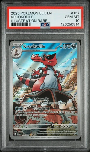 2025 Pokemon BLK EN-Black Bolt Krookodile Illustration Rare PSA 10 #137