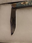 Case XX USA Tony Bose Gray Bone Harley Davidson 2015 Pattern Number T.B. 6139 SS — photo 8