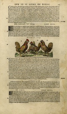 Antique Print-Animals-Chicken-Rooster-Mattioli-p. 225-Anonymous-1572