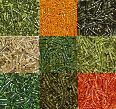 [5,70 /100g] 100g FUTTER STICKS für Garnelen & Welse Garnelenfutter Fischfutter