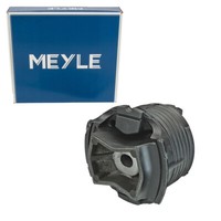 Meyle AchsköRperlager FüR Mercedes W204 C204 S204 C218 W212 Hinterachse Hinten