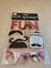 Me & My Big Ideas/Soft Spoken~Fun~Dimensional Stickers