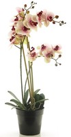 Artplants Kunstblume Phalaenopsis Orchidee Chenxu, Rosa-Creme, 55 Cm