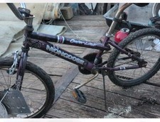 mongoose outer limit