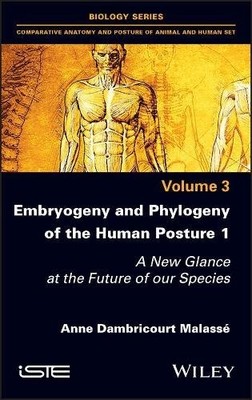 Embryogeny and Phylogeny of the Human Posture 1   A New Glance at the Future of 