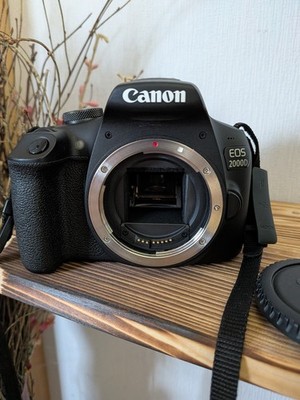 Canon EOS 2000D 24,1MP DSLR-Kamera (Nur Body) 