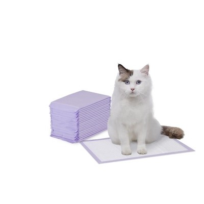 Katzenstreu-Pads 20er Zitronenduft Amazon Basics Violett Weiß