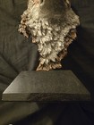 Kitty Cantrell Legends Scent in the Air  Wolf bronze sculpture #369 of 750 — photo 6