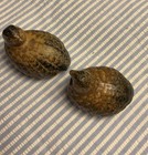 Vintage Ceramic Quail Grouse Set of 2 Made in Japan Mini Hen & Chick Matte MCM — photo 1