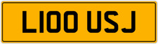 LOUISE LUIS LOUIS LOUIE LOU LOOE LU LOO LOOE PRIVATE REGISTRATION PLATE L100 USJ