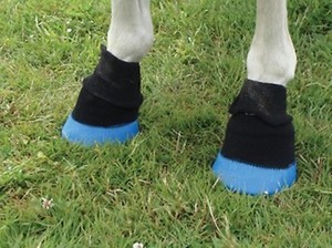 shoof hoof boots