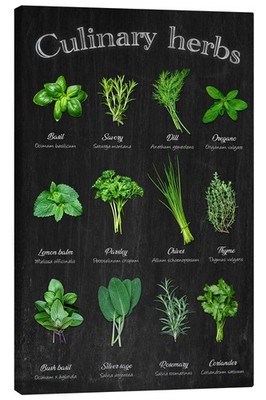 Leinwandbild Culinary herbs - Thomas Klee