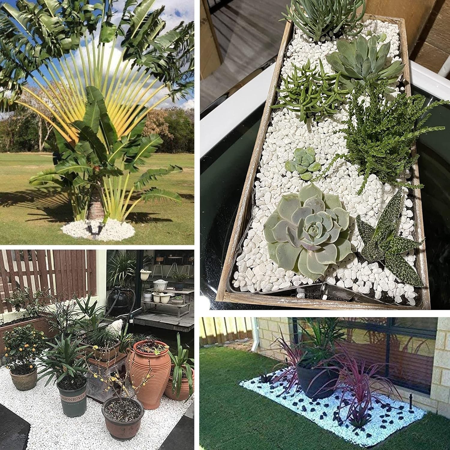 Eco-Friendly 3 lb White Gravel Rocks - Matte Finish for Indoor/Outdoor Use