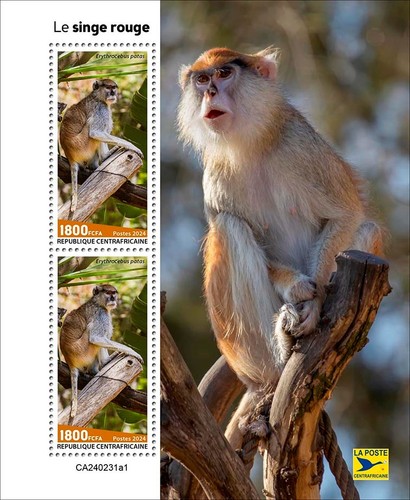 Patas Monkey MNH Stamps 2024 Central African 2 M/S - Picture 2 of 3