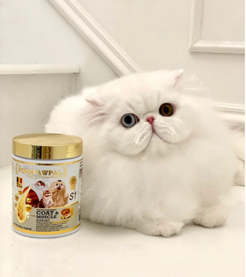 1x Gorgeous Coat & Muscle Pet Supplement Cat Dog Rabbit Pinkpawpal 150g.