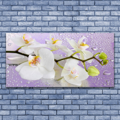 Tableau Image Impression sous verre 140x70 Floral Fleurs Pierres