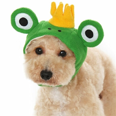 Dogo ''Prince Frog'' Hat for Dogs - Multiple Sizes - New!