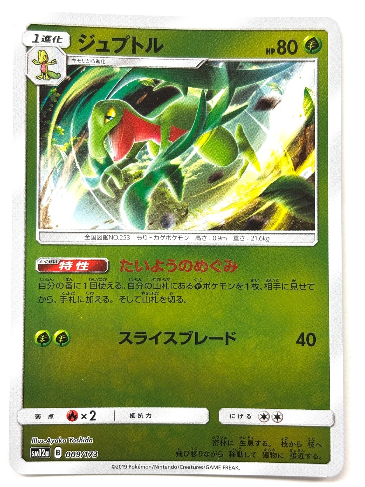 ジュプトル デルタスペック プロモ Grovyle promotioncard Grovyle 009/173 Sm12a: Tag Team GX: Tag All Stars for sale | eBay