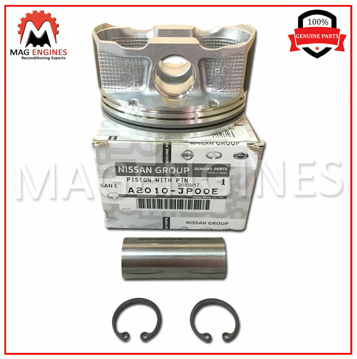 pinajunoページ Myproject_71.jpg?v=1652135511&