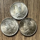 1923 Peace Silver Dollar $1 Philadelphia Circulated Business Strike Lot of 3