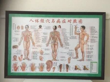 Wall Chart 人体经络穴位及其对应病症对照挂图 三面人体合一图