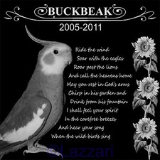 Custom Pet Bird Parrot Memorial Engraved 12x12 Granite Grave Marker w/Your Photo