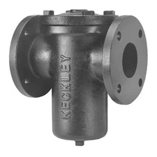 Keckley 21Ffs-Ci125p34-Fbi-Gfv Basket Strainer, 2" Pipe, Flanged, Cast Iron