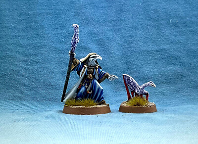 Warhammer Fantasy WGS painted Warriors of Chaos Tzeentch champion