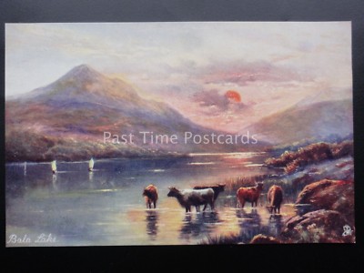 Malerischer Nordwales BALA LAKE um 1905 von Raphael Tuck & Sons 6233