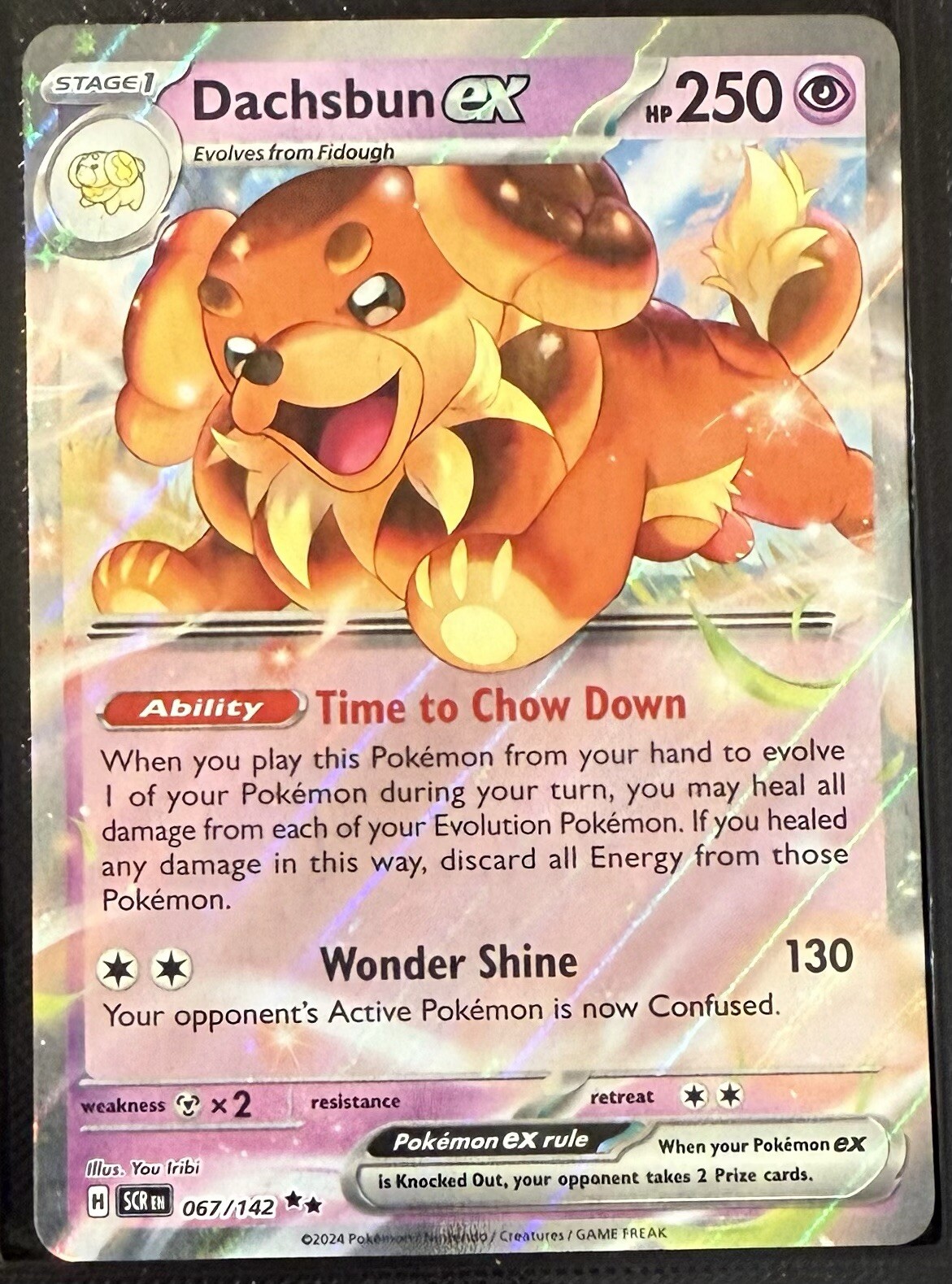 Dachsbun ex Pokemon Stellar Crown 067/142 Double Rare NM