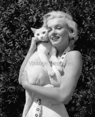 Marilyn Monroe with a White Cat Photo Print Poster