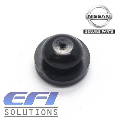 パンドラ155 PD ホロブルーバック カーペンター G534 2025年最新