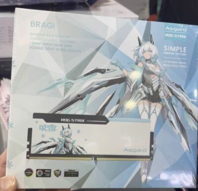 Asgard ROG STRIX RGB 32GB(16GB*2) DDR5 6400mhz support Z790 Z890