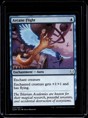 Magic the Gathering MTG Arcane Flight (43) Dominaria NM