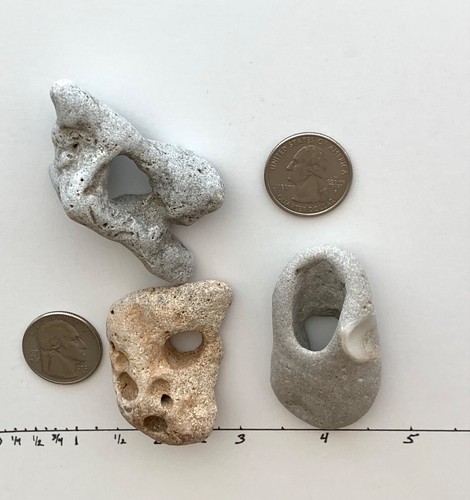 3 Rocce da Spiaggia Naturali Holey Grandi 3/8" Foro Strega Fata 1-2" Pietre Adder dei Desideri #3C - Foto 7 di 14