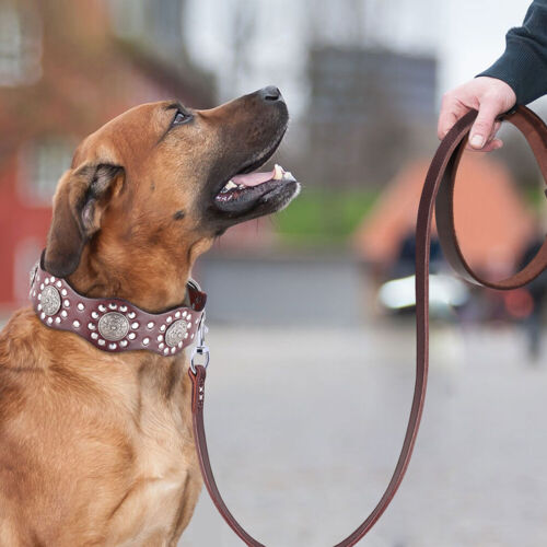 Genuine Leather Dog Leash Heavy Duty with Handle for Pet Training Walking Lead - Picture 19 of 24