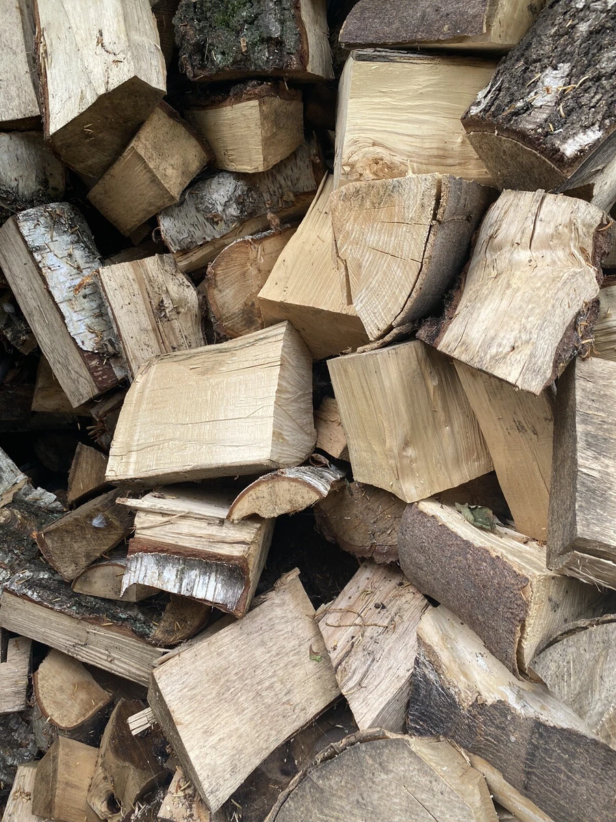 Seasoned Ash Cherry Oak Logs For Sale One Bag Excellent Wood 15-20kg Hp25bp  | eBay