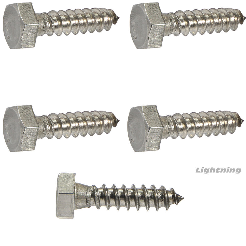 Stainless Steel 1/4 x 1 Inch Hex Head Lag Screws 5-Pack