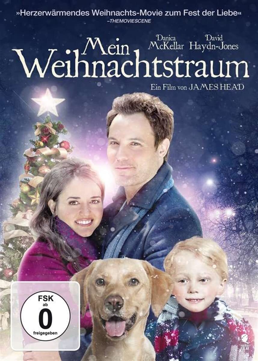 Mein Weihnachtstraum (DVD) David Haydn-Jones Danica McKellar Christine Lee