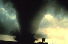 Natural Disaster DIMMITT TEXAS TORNADO Picture Poster Photo Print