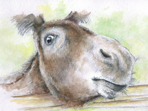 A Beautiful Illustrated Book of Childhood Memories - Picture 9 of 16