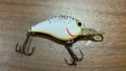 LUCKY CRAFT Flat Mini MR Splatter Back Shad Rare Pro Tune