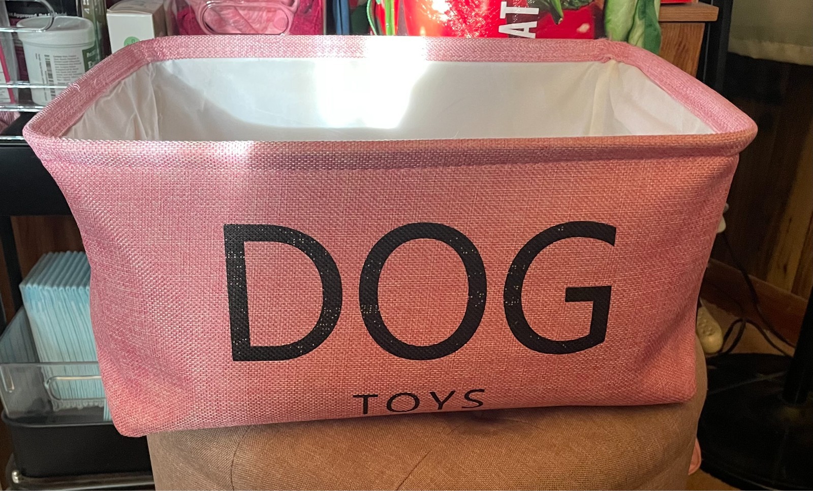 Dog Collapsible Toy Box with Handles