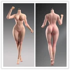 T307 1/6 Female Makeup Detail Body Fitness Plump muscle Bust 12" Action Figure