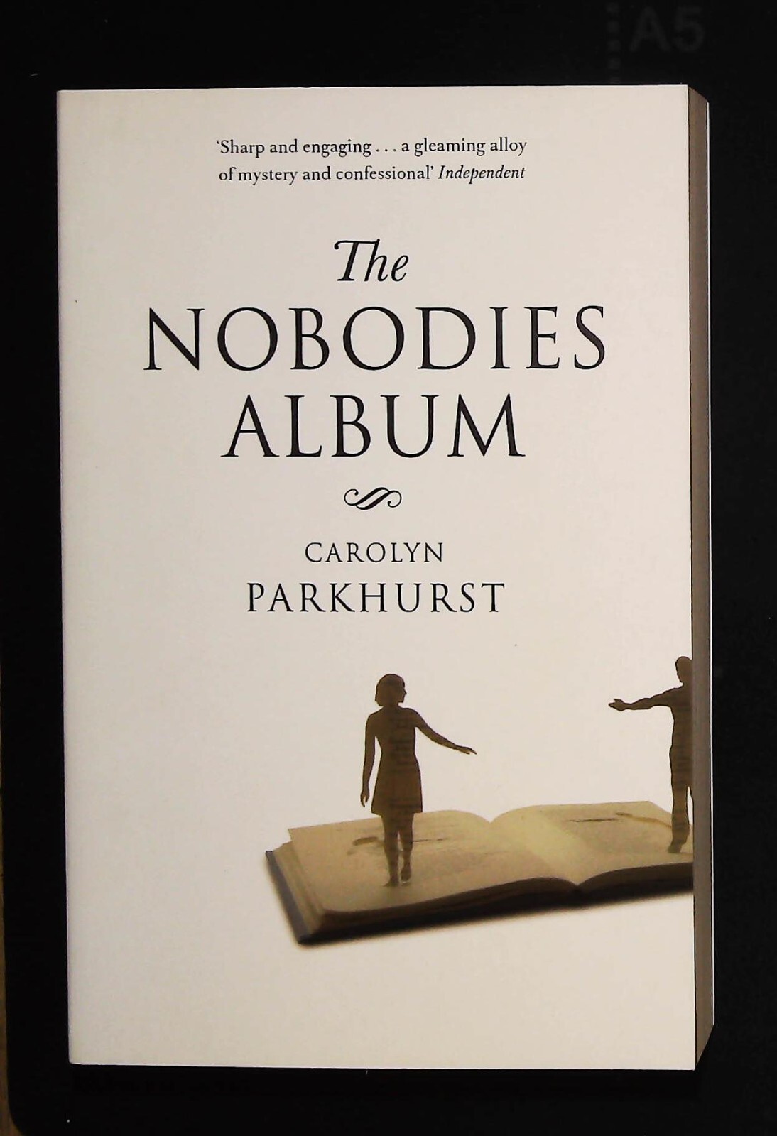 Carolyn Parkhurst The Nobodies Album Book NEW (Paperback)