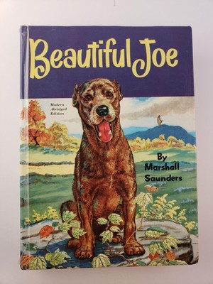 Beautiful Joe