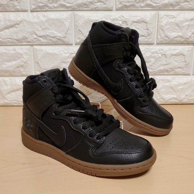 nike sb dunk brian anderson