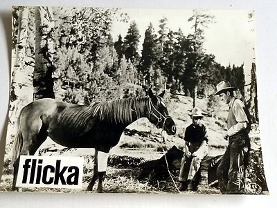 FLICKA / My Friend Flicka - WA-AUSHANGFOTO #9 -German L C -RODDY McDOWALL RR ´65