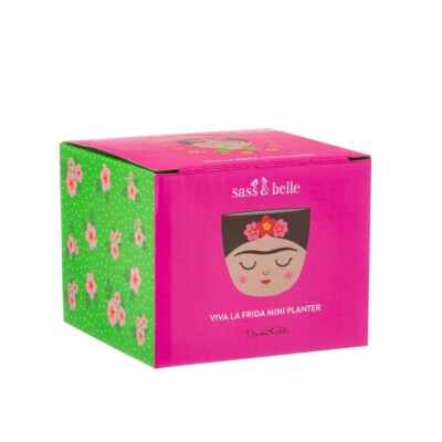 Sass & Belle Mini Frida Kahlo Face Small Planters Flower Plants Pot Compact  Gift | eBay