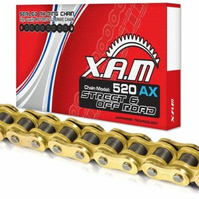 XAM Chain for KTM 450 EXCF SIX DAYS 2017-2020 >520 X-Ring Gold